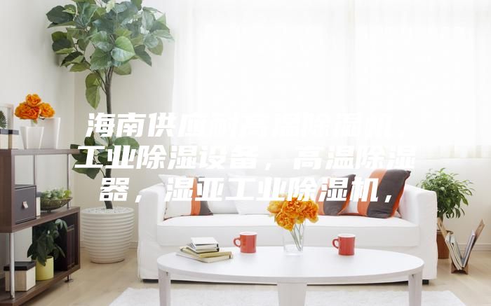 海南供應(yīng)耐高溫除濕機(jī)，工業(yè)除濕設(shè)備，高溫除濕器，濕亞工業(yè)除濕機(jī)，