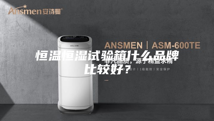 恒溫恒濕試驗箱什么品牌比較好？