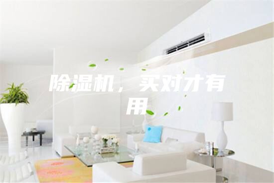 除濕機，買對才有用