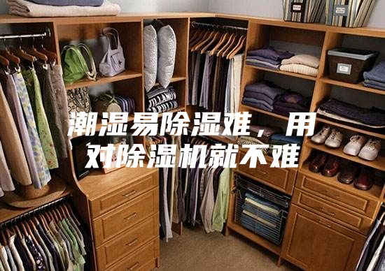 潮濕易除濕難，用對除濕機就不難