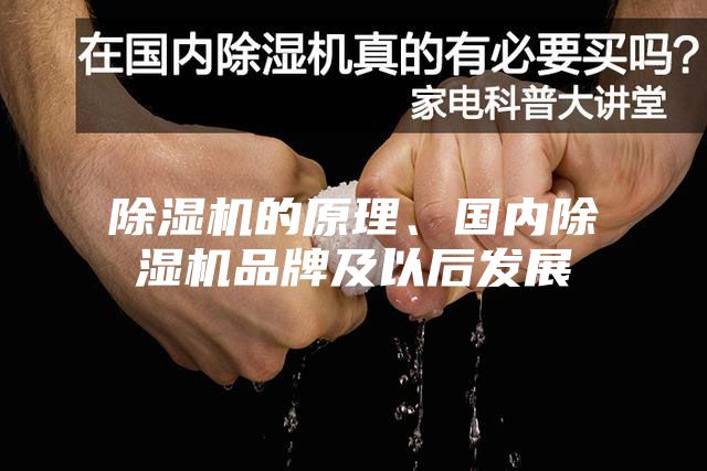 除濕機(jī)的原理、國內(nèi)除濕機(jī)品牌及以后發(fā)展