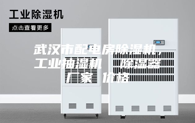 武漢市配電房除濕機，工業抽濕機  除濕器廠家 價格