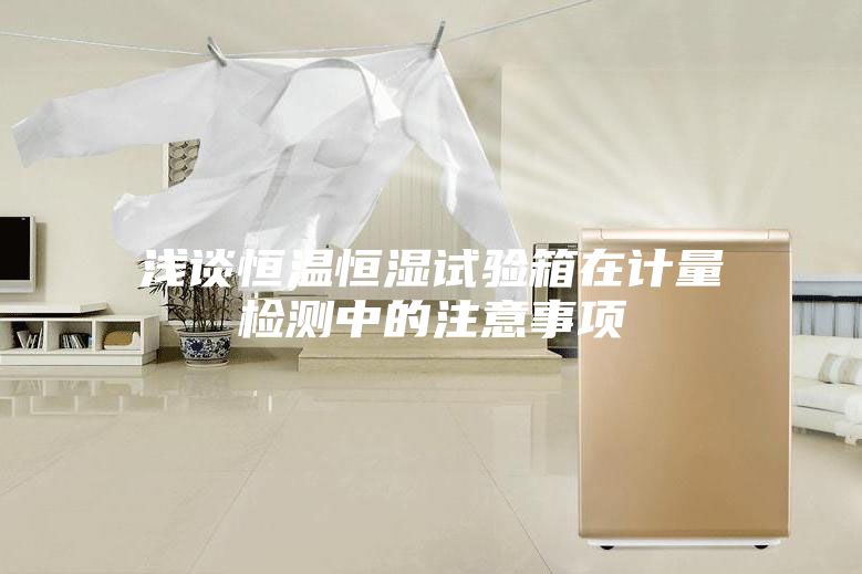淺談恒溫恒濕試驗(yàn)箱在計量檢測中的注意事項(xiàng)
