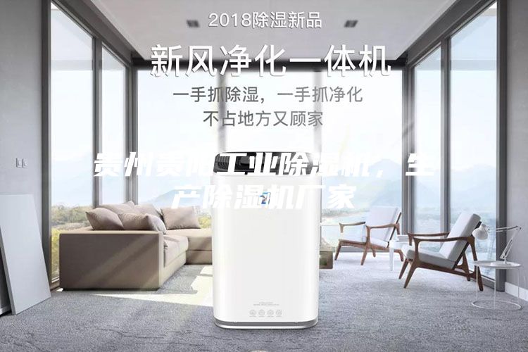 貴州貴陽工業(yè)除濕機，生產(chǎn)除濕機廠家