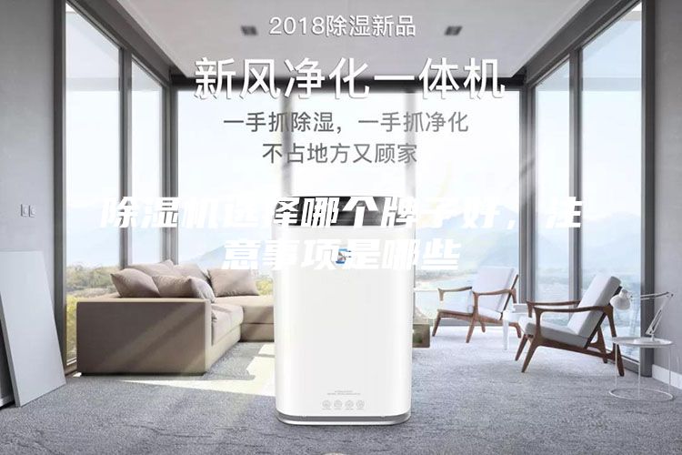 除濕機選擇哪個牌子好，注意事項是哪些