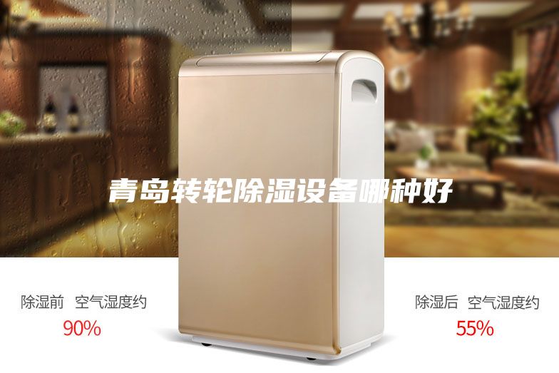 青島轉(zhuǎn)輪除濕設備哪種好