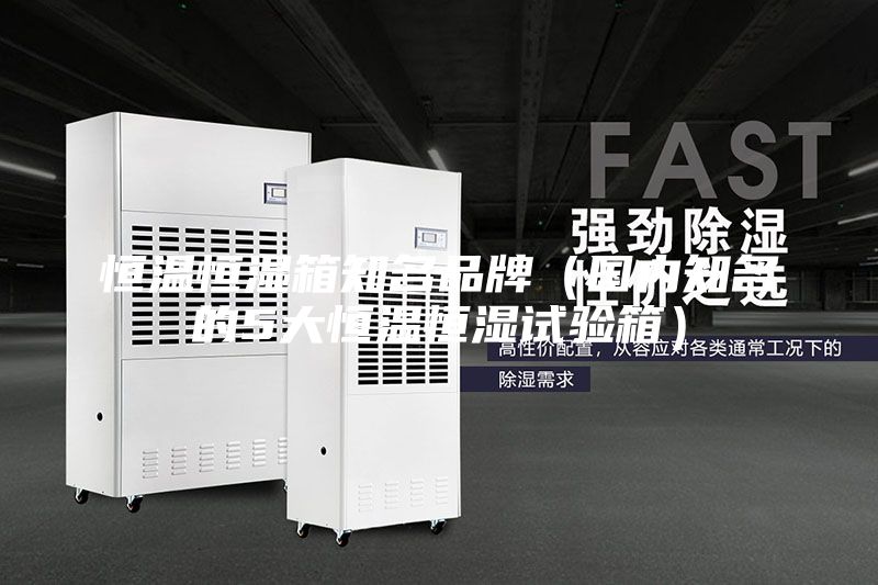 恒溫恒濕箱知名品牌（國(guó)內(nèi)知名的5大恒溫恒濕試驗(yàn)箱）