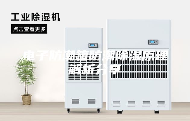 電子防潮箱防潮除濕原理解析分享