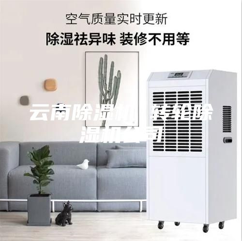 云南除濕機(jī) 轉(zhuǎn)輪除濕機(jī)公司
