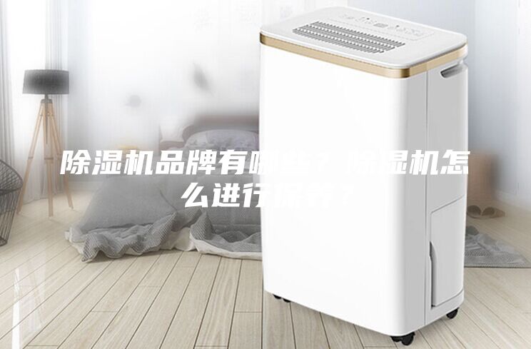 除濕機品牌有哪些？除濕機怎么進行保養？