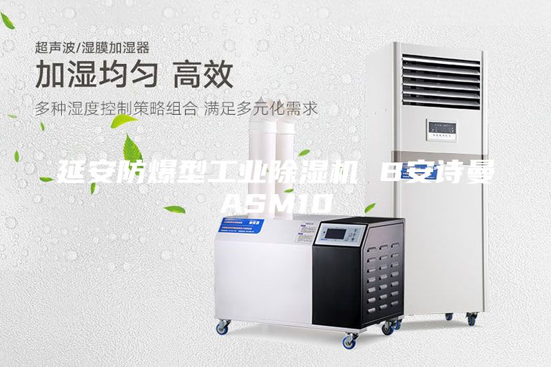延安防爆型工業(yè)除濕機(jī) B安詩(shī)曼ASM10