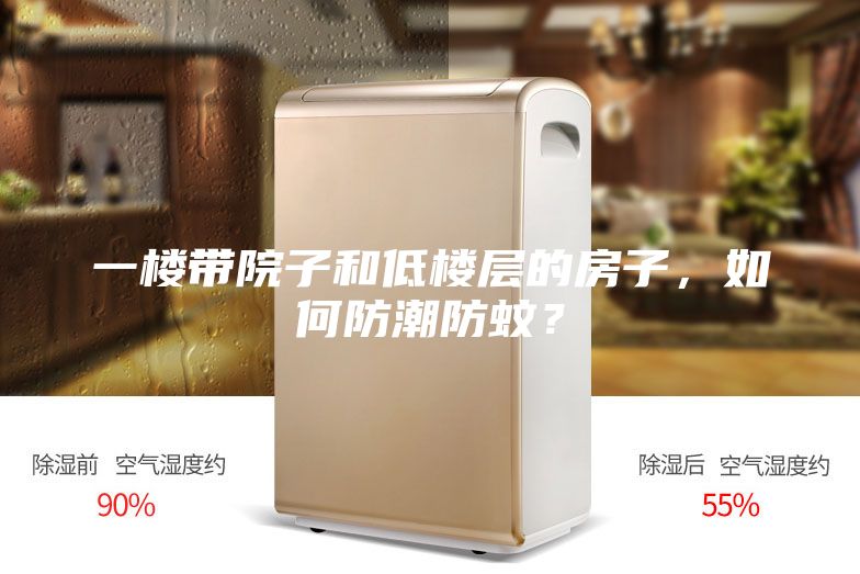 一樓帶院子和低樓層的房子，如何防潮防蚊？