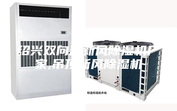 紹興雙向流新風(fēng)除濕機(jī)廠家,吊頂新風(fēng)除濕機(jī)