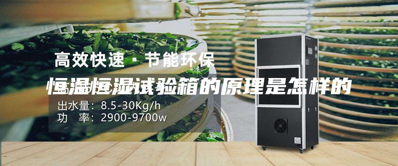 恒溫恒濕試驗箱的原理是怎樣的