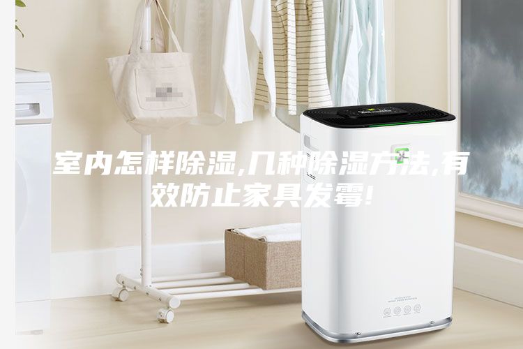 室內怎樣除濕,幾種除濕方法,有效防止家具發霉!
