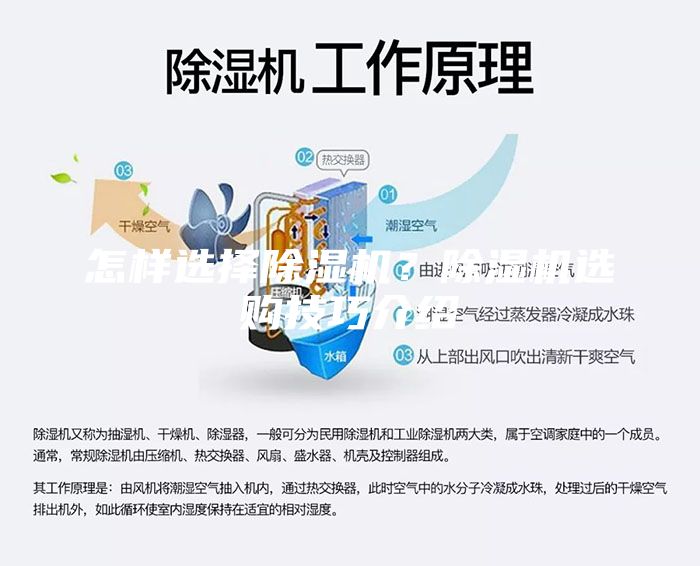 怎樣選擇除濕機(jī)？除濕機(jī)選購(gòu)技巧介紹