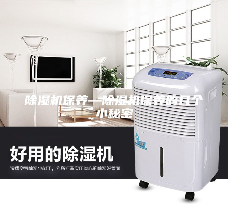 除濕機保養(yǎng)—除濕機保養(yǎng)的幾個小秘密