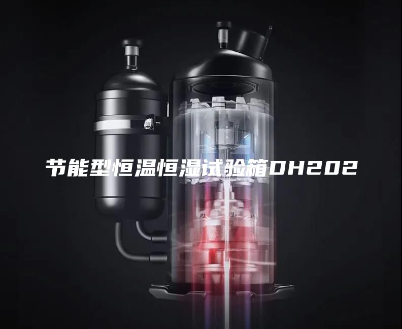 節能型恒溫恒濕試驗箱DH202