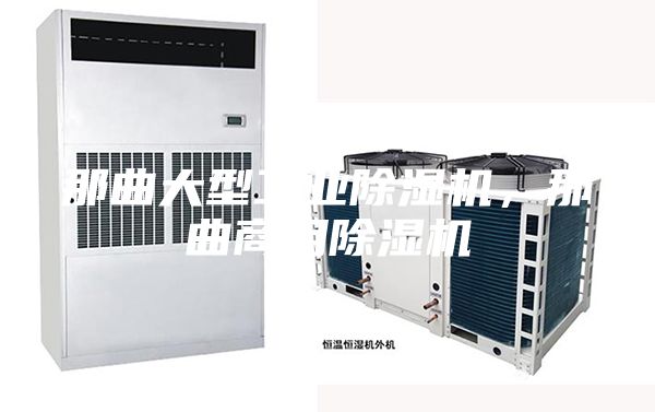 那曲大型工業(yè)除濕機，那曲商用除濕機