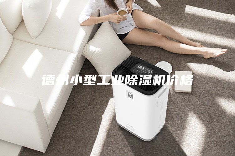 德州小型工業(yè)除濕機價格
