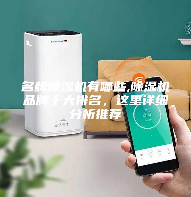名牌除濕機(jī)有哪些,除濕機(jī)品牌十大排名，這里詳細(xì)分析推薦