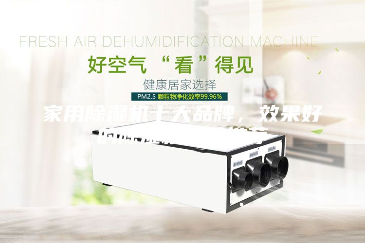 家用除濕機十大品牌，效果好的除濕機品牌推薦