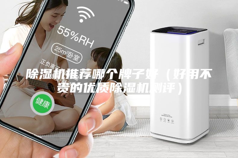 除濕機推薦哪個牌子好（好用不貴的優(yōu)質除濕機測評）
