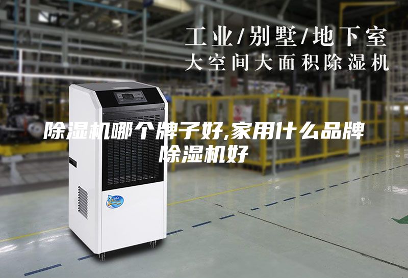 除濕機(jī)哪個牌子好,家用什么品牌除濕機(jī)好