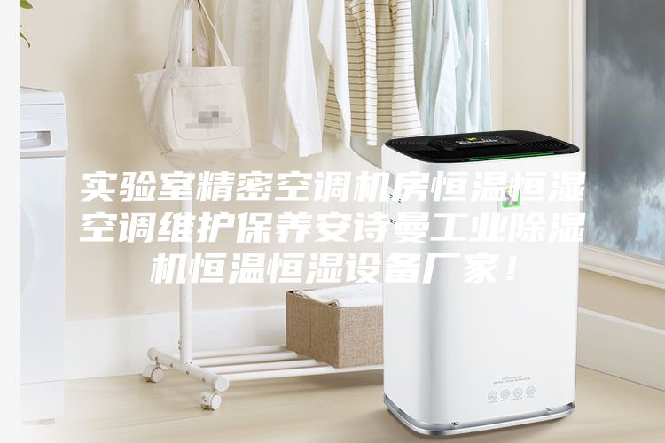 實(shí)驗(yàn)室精密空調(diào)機(jī)房恒溫恒濕空調(diào)維護(hù)保養(yǎng)安詩(shī)曼工業(yè)除濕機(jī)恒溫恒濕設(shè)備廠家！
